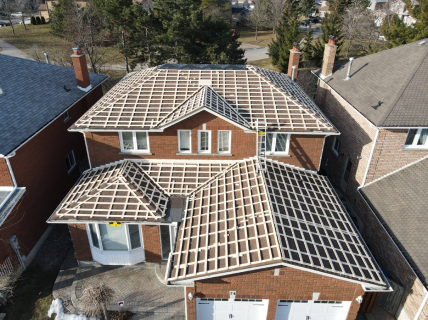 brown roof(scelet)